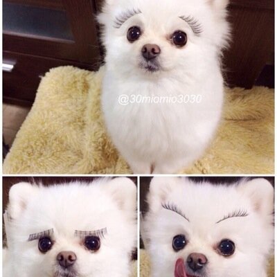 山之内もっこす