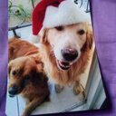 Estela David ^___^ - @David1Estela - Twitter