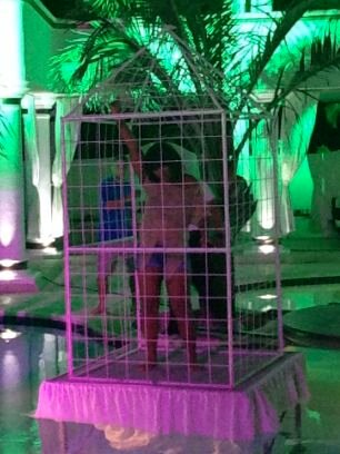 LabellaQB's profile picture. I think I need a BARBER, none of these Bitches can fade me