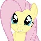 Hi I'm fluttershy and I sometimes shy ....My elements of harmony is kindness..I have a pet is a rabbit(angel)