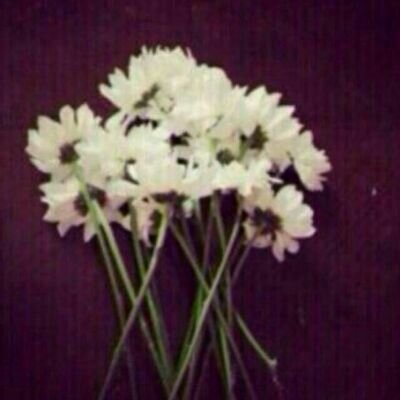 ‏‏‏‏‏‏‏‏`واشتاق لجنة~لم ابصرها يوما`                                                                 ♡مجدنا تعلى·····