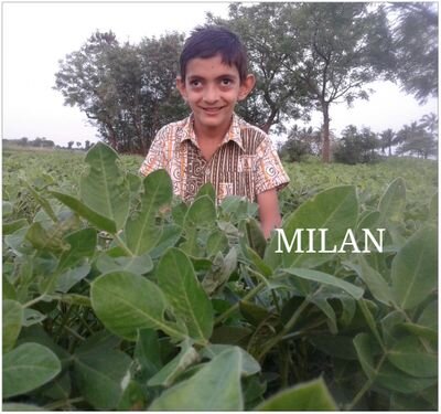 principal of piparla primary school