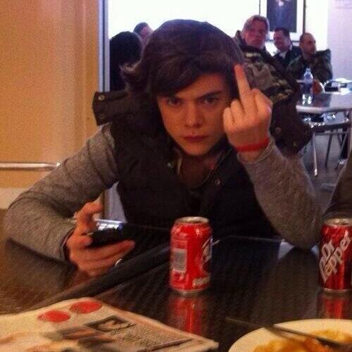 free follow. follow @harrymababe for a follow bac