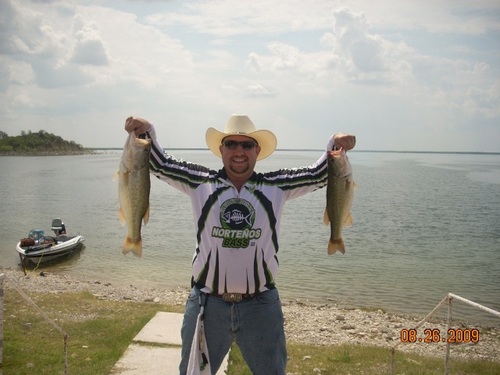 alanagustinor's profile picture. 