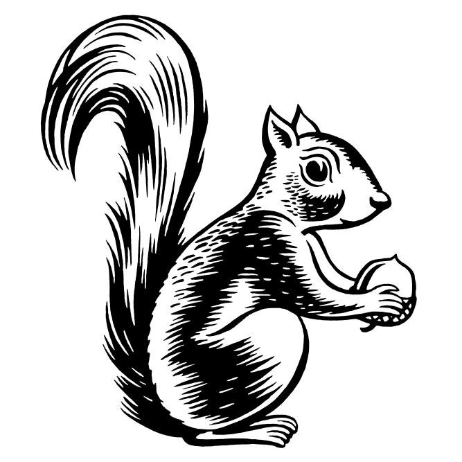 SquirrelJoinery's profile picture. Squirrel Joinery provide a professional joinery and Oak supply service throughout Cheshire; wood floors, kitchens, doors, bespoke furniture and decking.