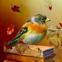 Paolo Mitri (@granellodisale) 's Twitter Profile