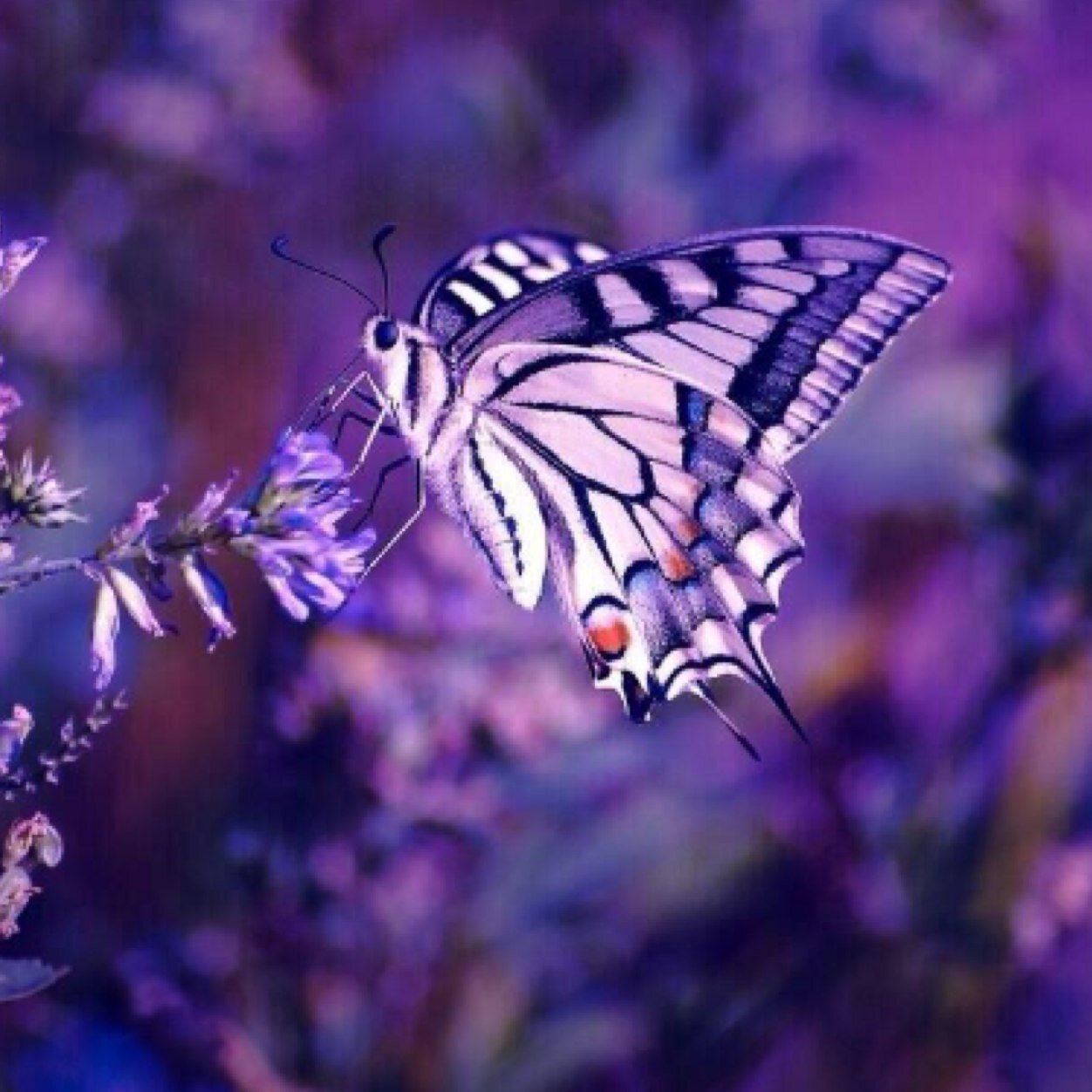 God made a million billion doors for love to walk through. One of those doors is YOU. Colossians 2:6