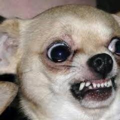 RonaldooSoto's profile picture. 