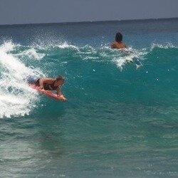 BptestTy's profile picture. 