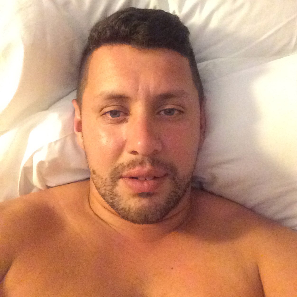 merkelturtle's profile picture. 