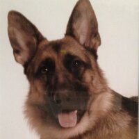Beth Schmidt Yoder (@bethschmidtyode) 's Twitter Profile
