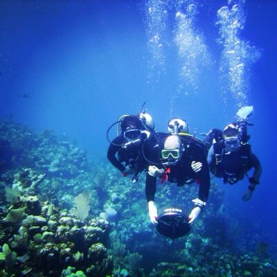 divehards's profile picture. Divehards International is a Scuba Diving Store & Dive Travel Center located in Pittsburgh, PA. We train, sell, rent and service gear. Get Underwater, get away!