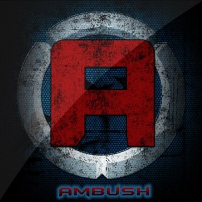 Captain Of Ambush Blue: Follow Ambush Red @AmbushGamingPS3 Follow Ambush Blue @MLGHeroo @MLG_iHavoc @GazerMLG Big Things For The Future Boys