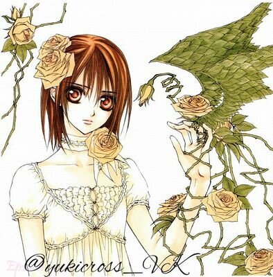hi I'm Yuki Cross I'm a guard to the night class at Cross Academy which is a class of vampires. #VampireKnightRP