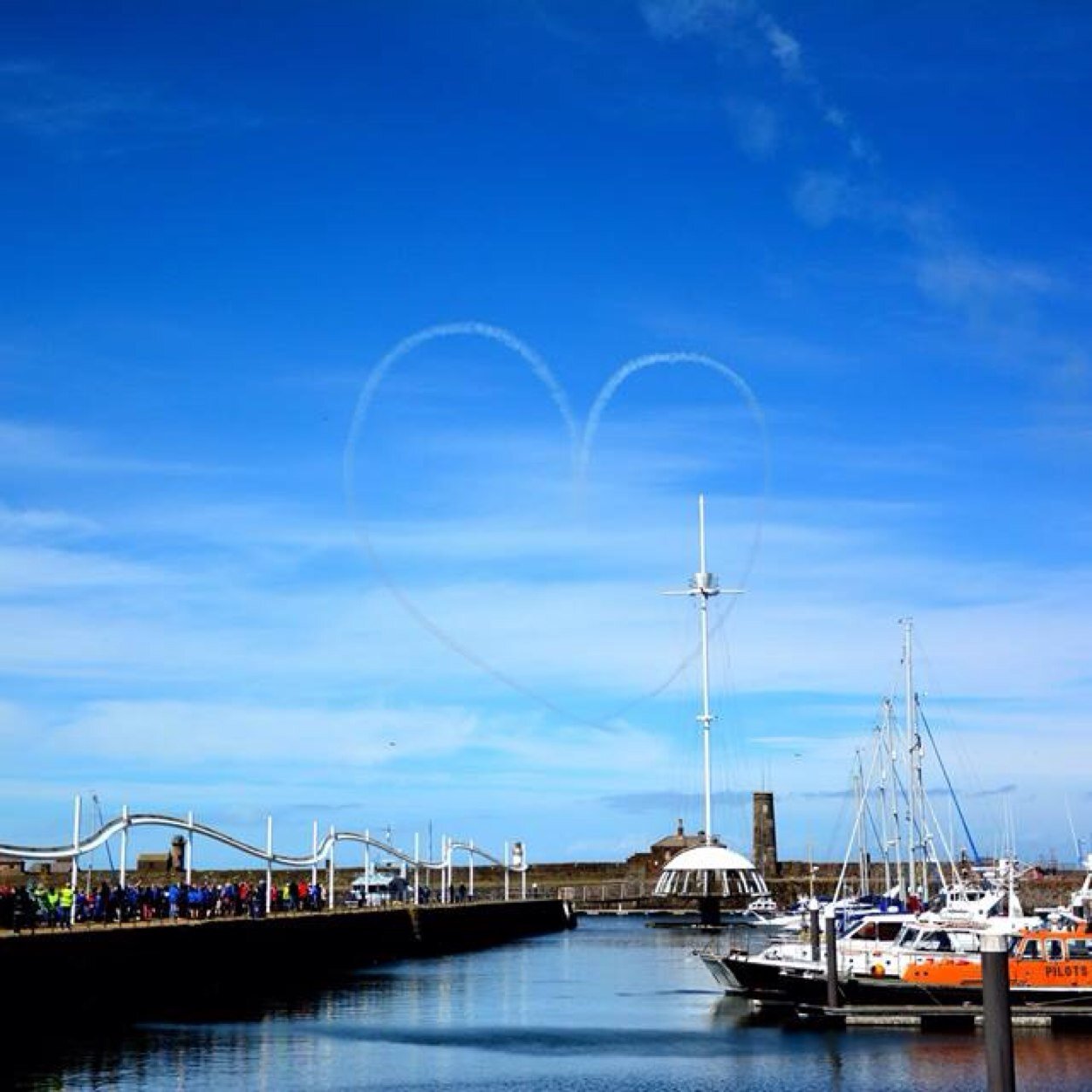 elaw66's profile picture. my very own opinions