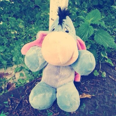 romain_estelle's profile picture. 