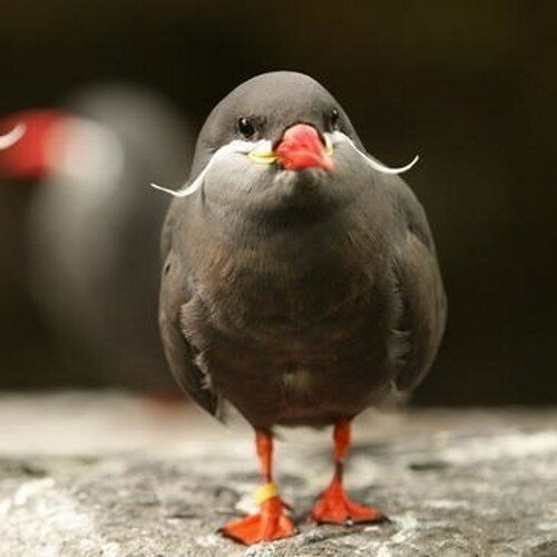 harrieenmarleen's profile picture. 