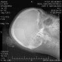 Patricia Real - @PatriciaReal6 - Twitter