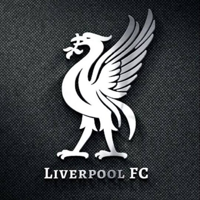 AIM 。趣味はプレミアリーグサッカー、音楽。リバプール、ジェラードのファン。音楽はロックが主。THE BEATLES