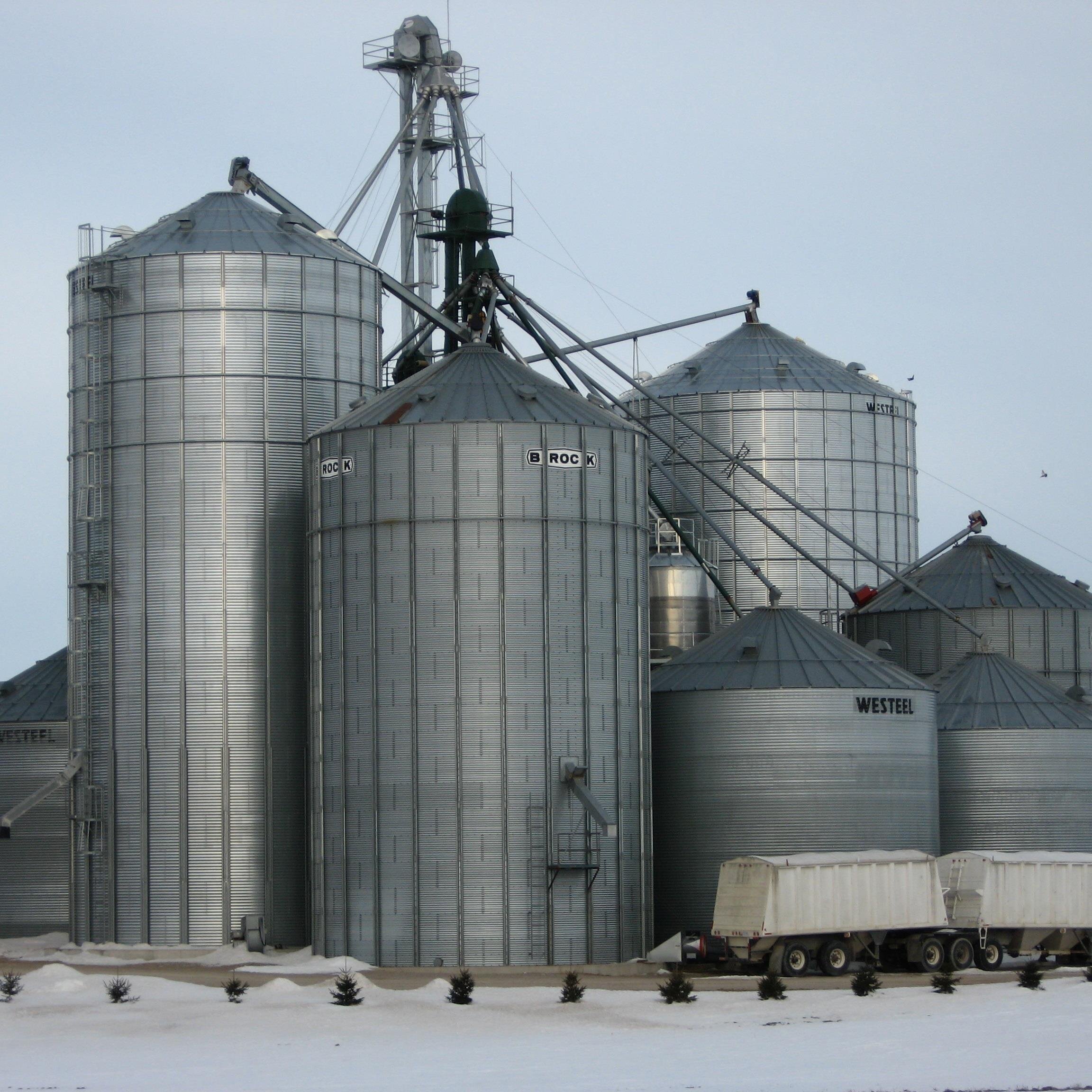 gregwalls7's profile picture. 