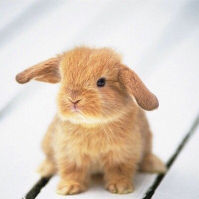 cyannguerry's profile picture. Follow back tu sera mignon