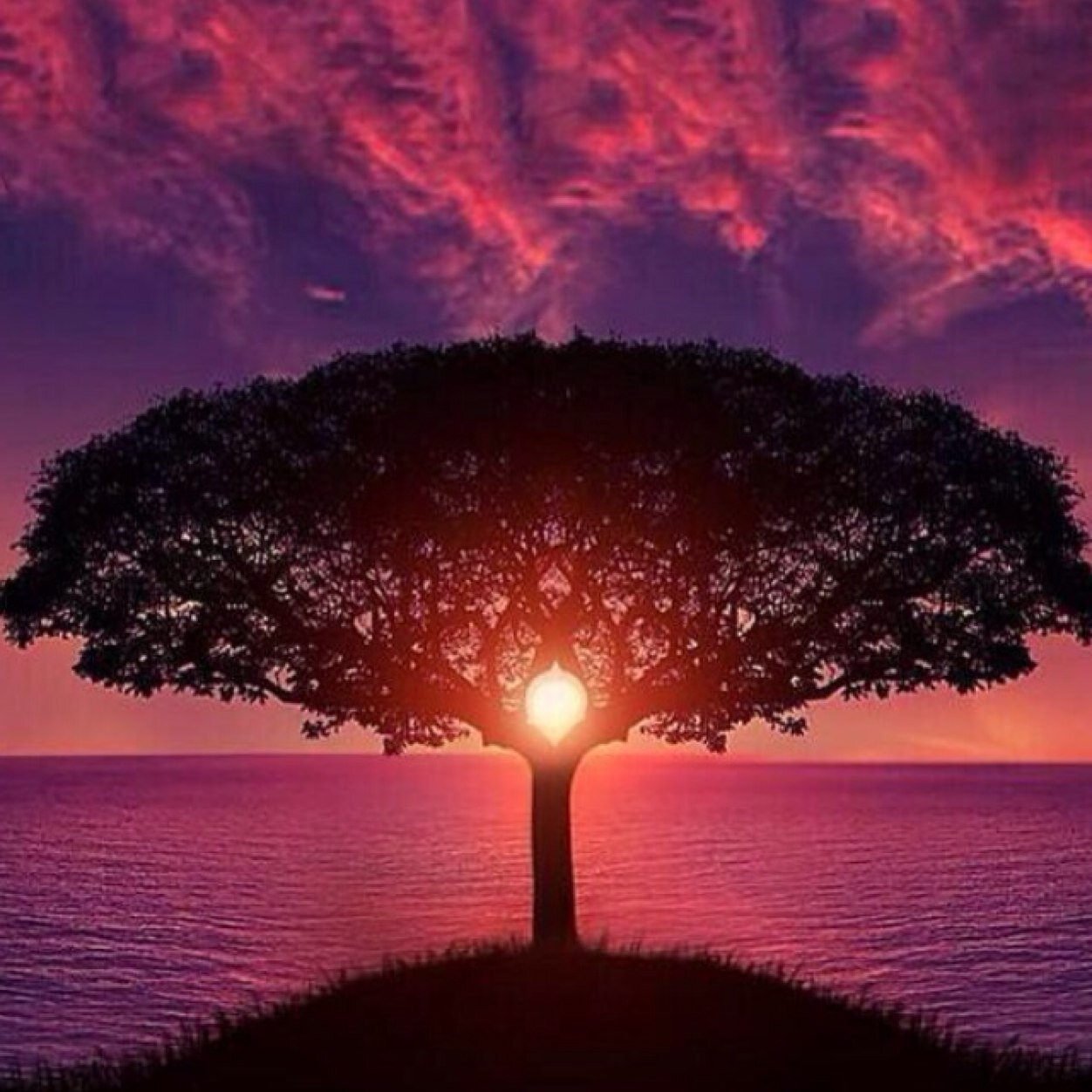 agro_rz's profile picture. 