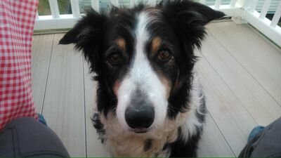 MeAndMissMcGee's profile picture. Tumbling cyclist.