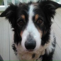 Linda (@meandmissmcgee) 's Twitter Profile Photo Linda (@meandmissmcgee) 's Twitter Profile Photo