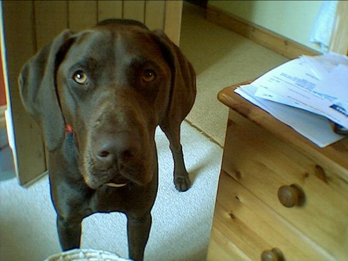 MrJohnSutton's profile picture. 