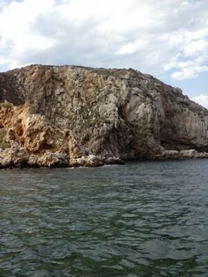 immogi's profile picture. 