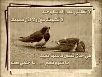 ‏مآ يعيش إلا الذي ودك يموت. . . ومايموت إلا الذي ودك يعيش
