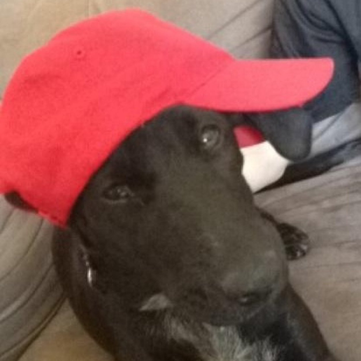 scott02991's profile picture. 