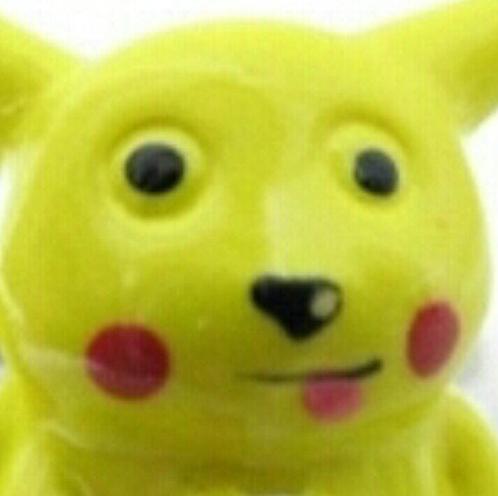 bbbrbbrbb's profile picture. ポケモンと留年はなかよし