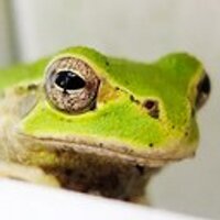 radioman (@_kwm2a) 's Twitter Profile Photo