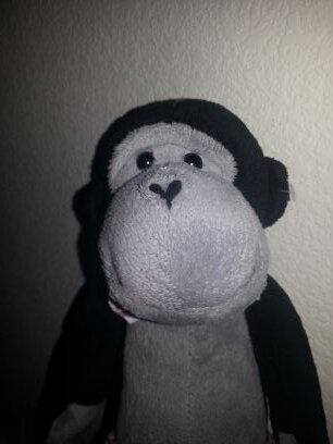 swagmonkey916's profile picture. swag items, convention fun, travel, and food