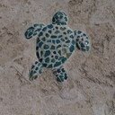 YusanAli's profile picture. 小さな島に住んでます。