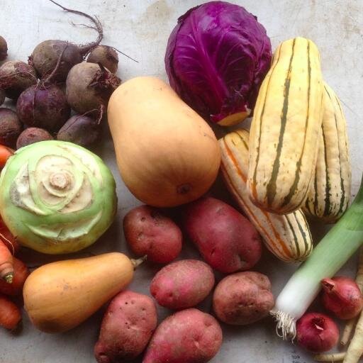 Beautiful vegetables. Snoqualmie River valley. Join our CSA or find our produce on the menu at your favorite restaurant.