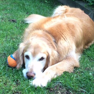 kgberd's profile picture. 