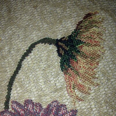 RBosack's profile picture. 