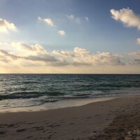 Matthew Links (@sp0rran) 's Twitter Profile