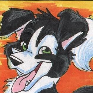 AD side of @malowolf :D | 
Bi male colliedog in my 30's | 
18+ only | 
Hit me up on telegram https://t.co/wLEMZV1Y3x