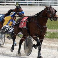 Dresden Raceway (@dresdenraceway) 's Twitter Profile