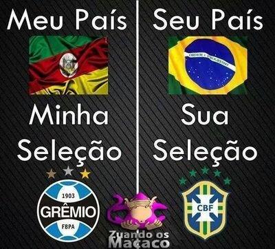 Haja o que houver estaremos juntos te seguindo meu Grêmio.