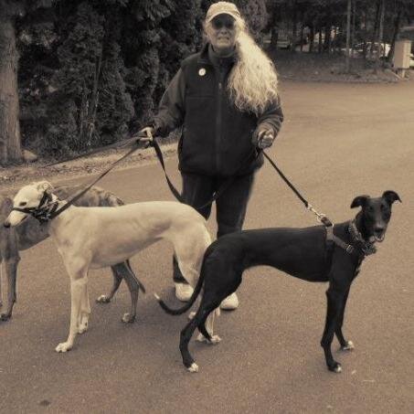 Greyhound owner & adoption volunteer.  Webmaster and list moderator for Greyhound Pets, Inc.  Currently trying to save death row dogs in CA kill shelters.