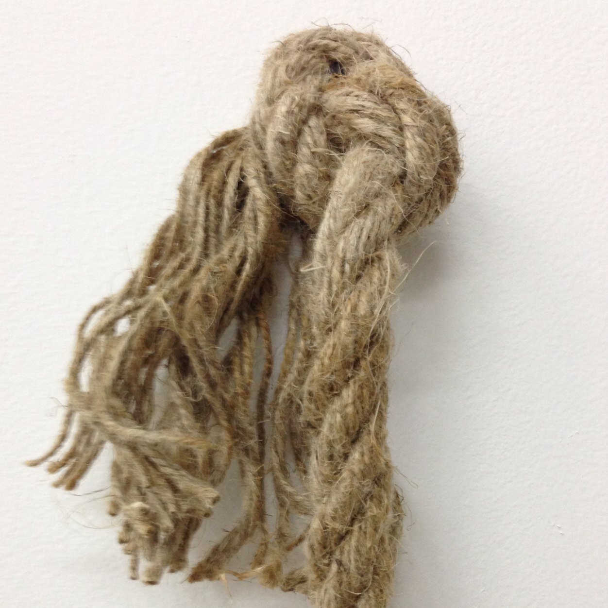 francestrombly's profile picture. This is the twitter page for artist Frances Trombly.