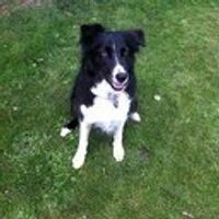 Dean (@x2dean) 's Twitter Profile Photo