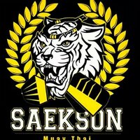 julio trana (@saeksonmuaythai) 's Twitter Profile