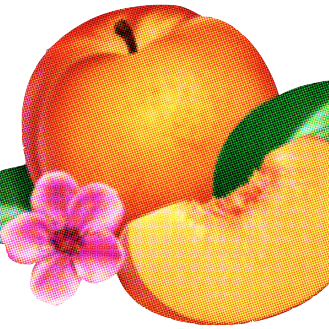 posipeach's profile picture. u think ur a flower, but really ur the whole meadow