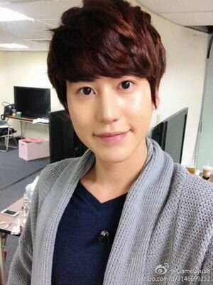 ☆☆SUPER JUNIOR E.L.F-JAPAN☆☆ ♡キュヒョンさんが大好きです♡