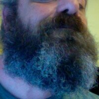 Earth Bear (@heeheeheebear) Twitter profile photo